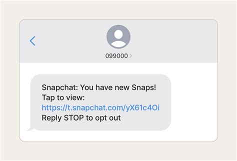 fake snap geld|10 Snapchat Scams and How To Look Out for Them